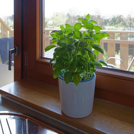 Am See-neu Mit Balkon Apartament *