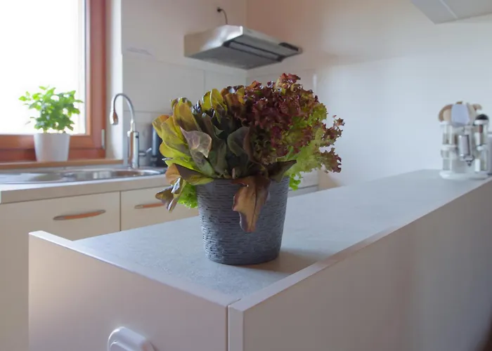 Am See-neu Mit Balkon 公寓 Neusalza-Spremberg